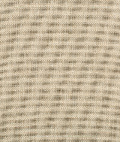 Kravet Contract 4637-116 Fabric
