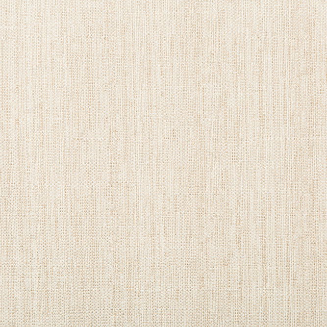 Kravet Basics 4665-1 Fabric