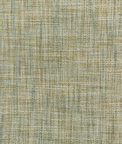 Kravet Basics 4668-516 Fabric