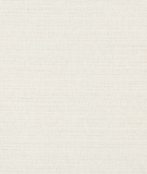 Kravet Basics 4673-1 Fabric