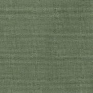Sunbrella Bliss Aloe Fabric