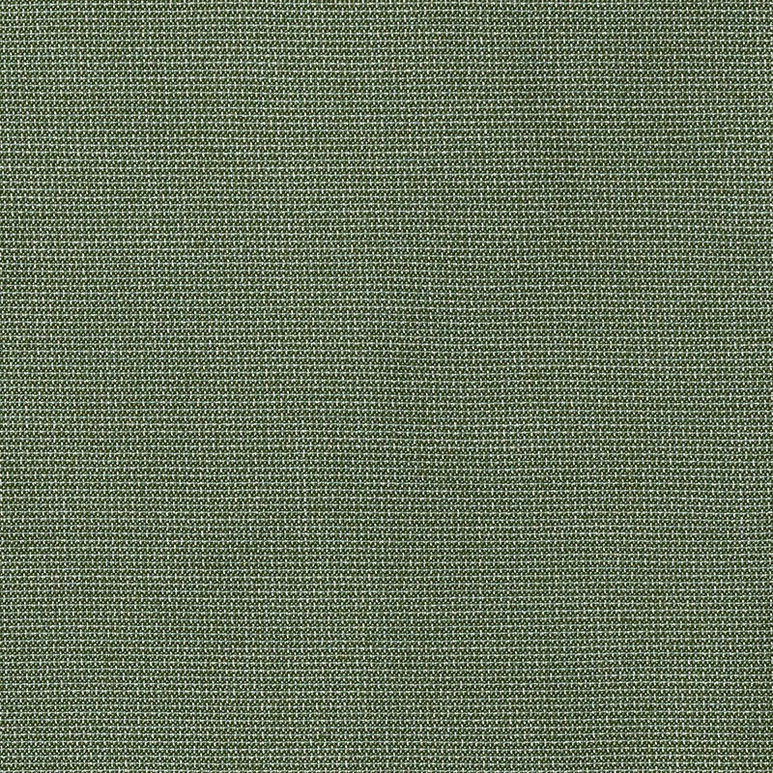 Sunbrella Bliss Aloe Fabric