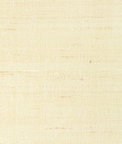 Kravet Light Touch Champagne Fabric