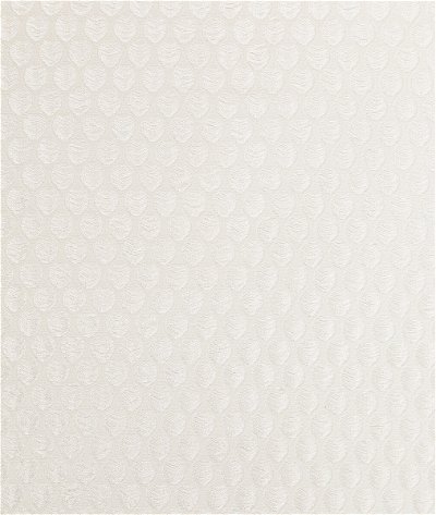 Kravet Perfect Catch Pearl Fabric