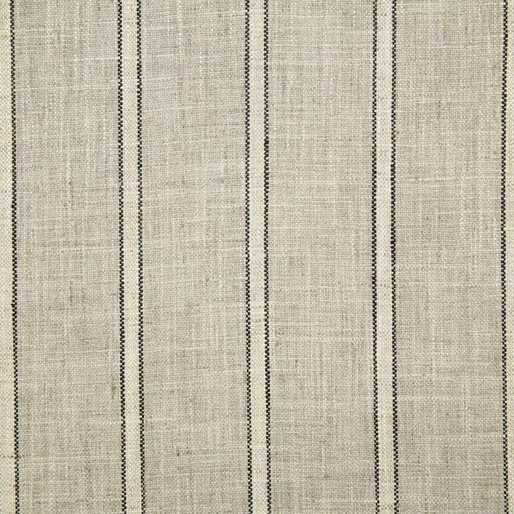 Pindler &amp; Pindler Durant Thunder Fabric