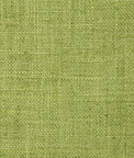Pindler & Pindler Drina Mojito Fabric