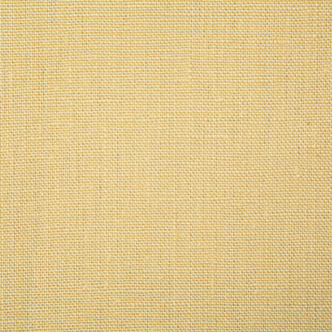 Pindler &amp; Pindler Flanders Daffodil Fabric