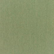 Sunbrella Canvas Fern Fabric