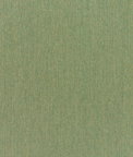 Sunbrella Canvas Fern Fabric