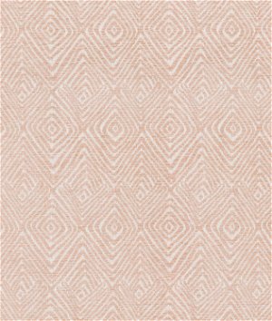 Kelly Ripa Home Set in Motion Blush Fabric