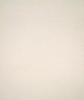Pindler & Pindler Tesoro Bone Fabric