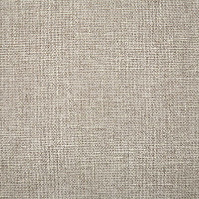 Pindler &amp; Pindler Martel Driftwood Fabric