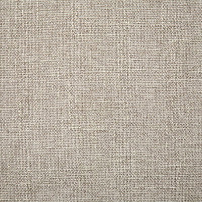 Pindler &amp; Pindler Martel Driftwood Fabric