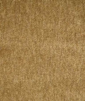 Pindler & Pindler Pacifica Autumn Fabric