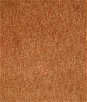 Pindler & Pindler Pacifica Spice Fabric