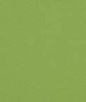 Sunbrella Mayfield Ginkgo Fabric