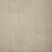 Pindler & Pindler Buckaroo Beige Fabric