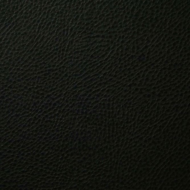 Pindler &amp; Pindler Buckaroo Black Fabric