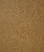 Pindler & Pindler Buckaroo Buckskin Fabric
