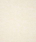 Pindler & Pindler Buckaroo White Fabric