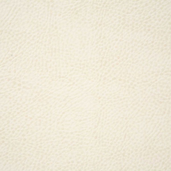 Pindler &amp; Pindler Buckaroo White Fabric