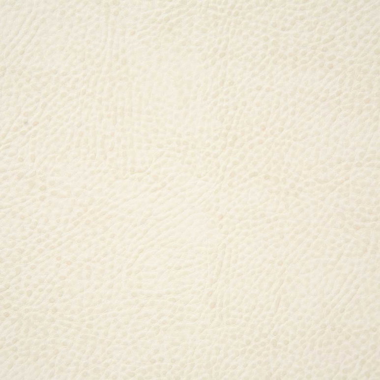 Pindler &amp; Pindler Buckaroo White Fabric