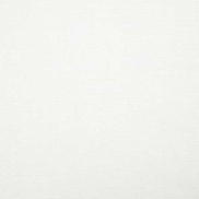 Pindler & Pindler Washington Ivory Fabric