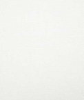 Pindler & Pindler Washington Ivory Fabric