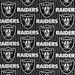 Fabric Traditions Las Vegas Raiders NFL Fleece Fabric