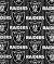 Fabric Traditions Las Vegas Raiders NFL Fleece - Out of stock