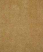 Pindler & Pindler Atlas Camel
