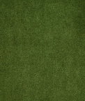 Pindler & Pindler Atlas Seaweed Fabric