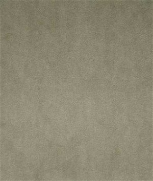Pindler & Pindler Voltaire Cement Fabric