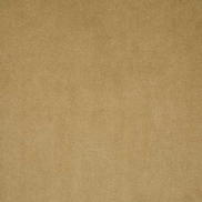 Pindler & Pindler Voltaire Chamois Fabric