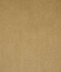 Pindler & Pindler Voltaire Chamois Fabric