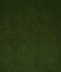 Pindler & Pindler Voltaire Evergreen Fabric
