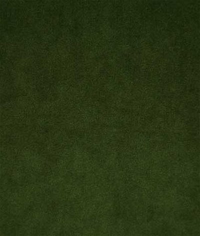Pindler & Pindler Voltaire Evergreen Fabric