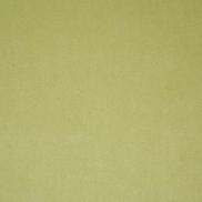 Pindler & Pindler Voltaire Honeydew Fabric