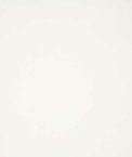 Pindler & Pindler Voltaire Ivory Fabric