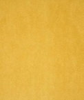 Pindler & Pindler Voltaire Marigold Fabric