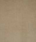 Pindler & Pindler Voltaire Mushroom Fabric