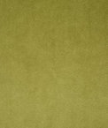 Pindler & Pindler Voltaire Olive Fabric