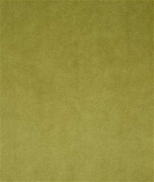 Pindler & Pindler Voltaire Olive Fabric