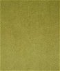 Pindler & Pindler Voltaire Olive Fabric