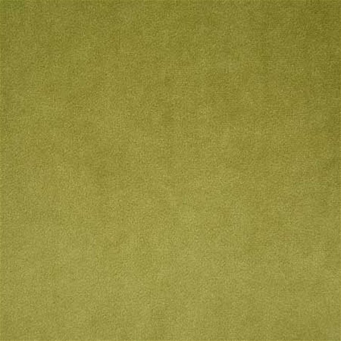 Pindler &amp; Pindler Voltaire Olive Fabric