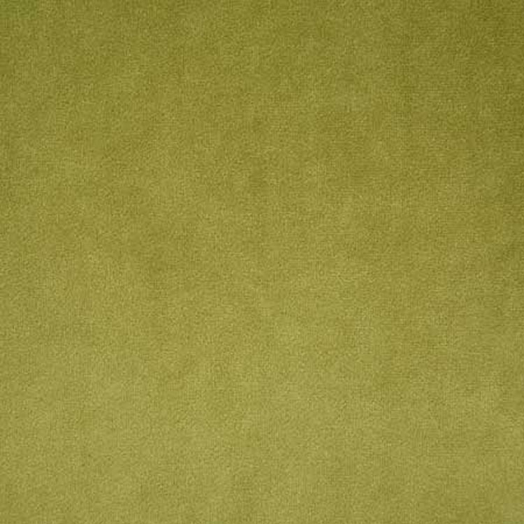 Pindler &amp; Pindler Voltaire Olive Fabric