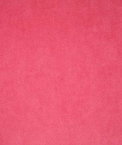 Pindler & Pindler Voltaire Peony Fabric
