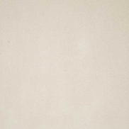 Pindler & Pindler Voltaire Shell Fabric