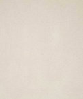 Pindler & Pindler Voltaire Shell Fabric