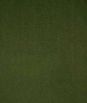 Pindler & Pindler Triton Moss Fabric